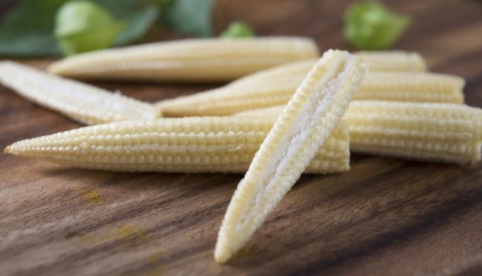 玉米熱量