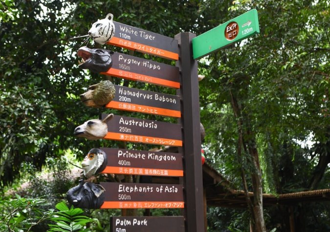 新加坡動物園門票